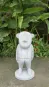 morepic-1